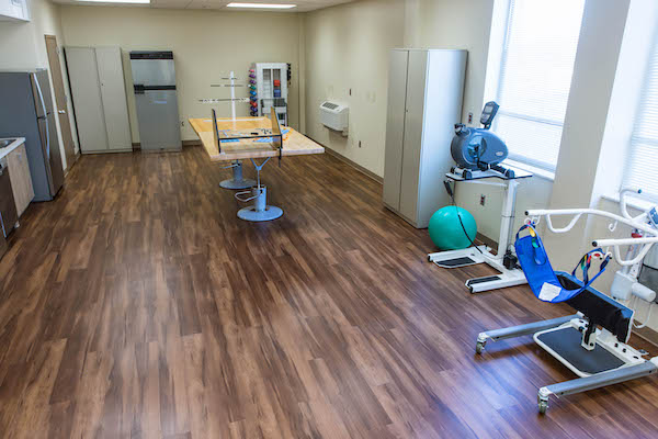 rehabilitation